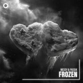MeSSy & PASSIK - Frozen (Extended Mix)