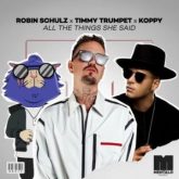 Robin Schulz x Timmy Trumpet x KOPPY - All The Things She Said (Extended Mix)