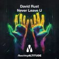 David Rust - Never Leave U (Extended Mix)