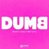 Breathe Carolina & Nikki Vianna - Dumb (Extended Mix)
