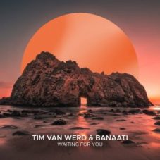 Tim van Werd & Banaati - Waiting For You (Extended Mix)