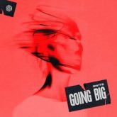 SWITE - Going Big (Extended Mix)