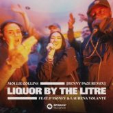Mollie Collins feat. P Money & Laurena Volanté - Liquor By The Litre (Benny Page Extended Remix)