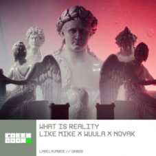 Like Mike x WUULA x Novak - What Is Reality (Extended Mix)