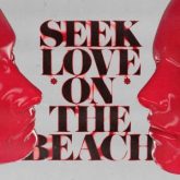 Alok, Tazi, York & Samuele Sartini feat. Amanda Wilson - Seek Love (On The Beach)