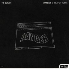 T & Sugah - Danger (REAPER Remix)