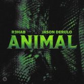 R3HAB & Jason Derülo - Animal