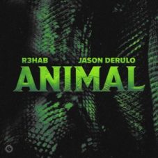R3HAB & Jason Derülo - Animal