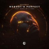 Bhaskar - Nobody's Perfect (feat. Dana Williams)