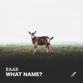 Raar - What Name?
