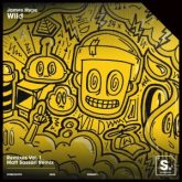 James Hype - Wild (Matt Sassari Extended Remix)