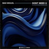 Mad Miguel - Don't Need U (Extended Mix)