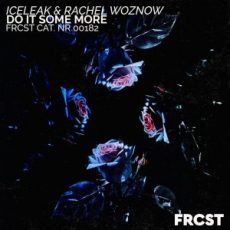 Iceleak & Rachel Woznow - Do It Some More (Extended Mix)