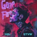 HBz & STVW - Gone Forever