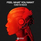 Floris van Oranje - Feel What You Want