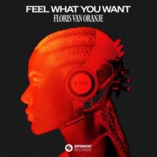 Floris van Oranje - Feel What You Want