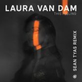 Laura Van Dam - This Feeling (Sean Tyas Extended Remix)
