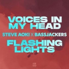 Steve Aoki & Bassjackers - Voices In My Head (Extended Mix)