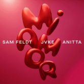 Sam Feldt - Mi Amor (with JVKE & Anitta)