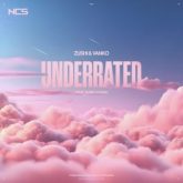 Zushi&Vanko - Underrated (feat. Sunny Lukas)