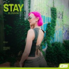 Blossom - Stay