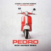 Jaxomy x Agatino Romero feat. Raffaella Carrà - Pedro (Nick Havsen Remix)