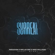 Paradigm, Niklas Dee & Mike Williams - Surreal (feat. myne)