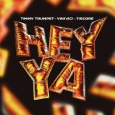 Timmy Trumpet & Vini Vici & Tiscore - Hey Ya
