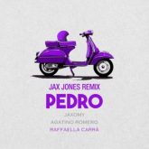 Jaxomy & Agatino Romero feat. Raffaella Carrà - Pedro (Jax Jones Remix)
