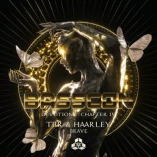 TBR & Haarley - Brave