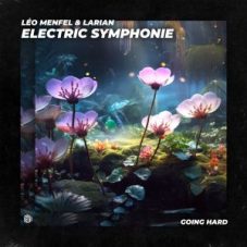 Léo Menfel & Larian - Electric Symphonie (Extended Mix)