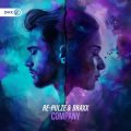 RE-PULZE & Braxx - Company