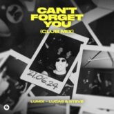 LUM!X x Lucas & Steve - Can't Forget You (Extended Club Mix)