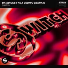 David Guetta & Cedric Gervais - Switch (Extended Mix)