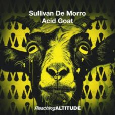 Sullivan De Morro - Acid Goat (Extended Mix)