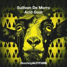 Sullivan De Morro - Acid Goat (Extended Mix)