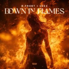 B-Front & Udex - Down In Flames