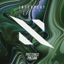 POIZZONED - Pulsar­­ (Extended Mix)