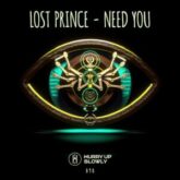 Lost Prince - Need You