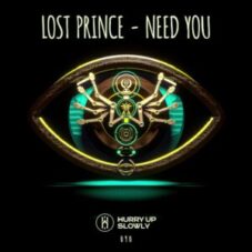 Lost Prince - Need You