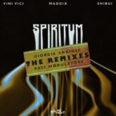 Vini Vici & Maddix & Shibui - Spiritum (The Remixes)