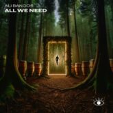 Ali Bakgor - All We Need