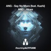 ANG - Say No More / Akwa