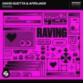 David Guetta & AFROJACK - Raving (Extended Mix)