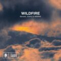 Banaati, Dokho & Møøne - Wildfire