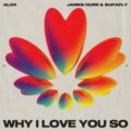 Alok, James Hurr & Supafly - Why I Love You So