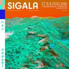 Sigala x Trevor Daniel x 24kGoldn - It's A Feeling (eSQUIRE Remix)