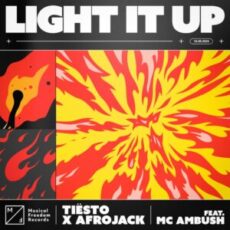 Tiësto x Afrojack feat. MC Ambush - Light It Up (Extended Mix)