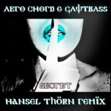 Aero Chord & Gawtbass - Secret (Hansel Thorn Remix)