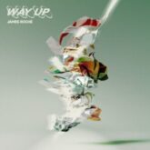 James Roche - Way Up